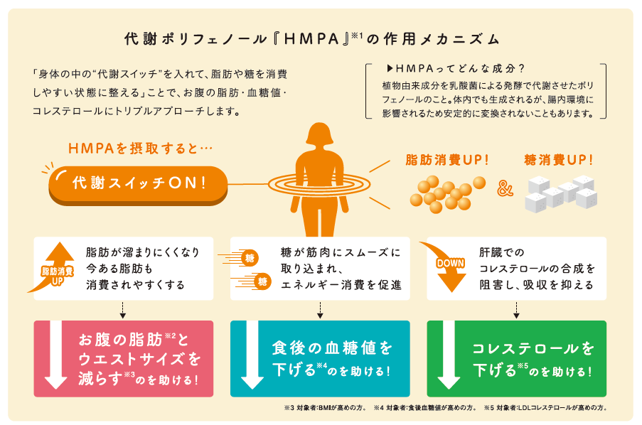 代謝ポリフェノール「HMPA」の作用メカニズム