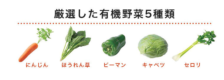 厳選した有機野菜5種類「にんじん」「ほうれん草」「ピーマン」「キャベツ」「セロリ」