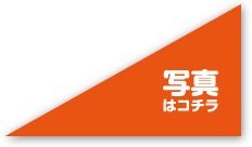 写真はコチラ