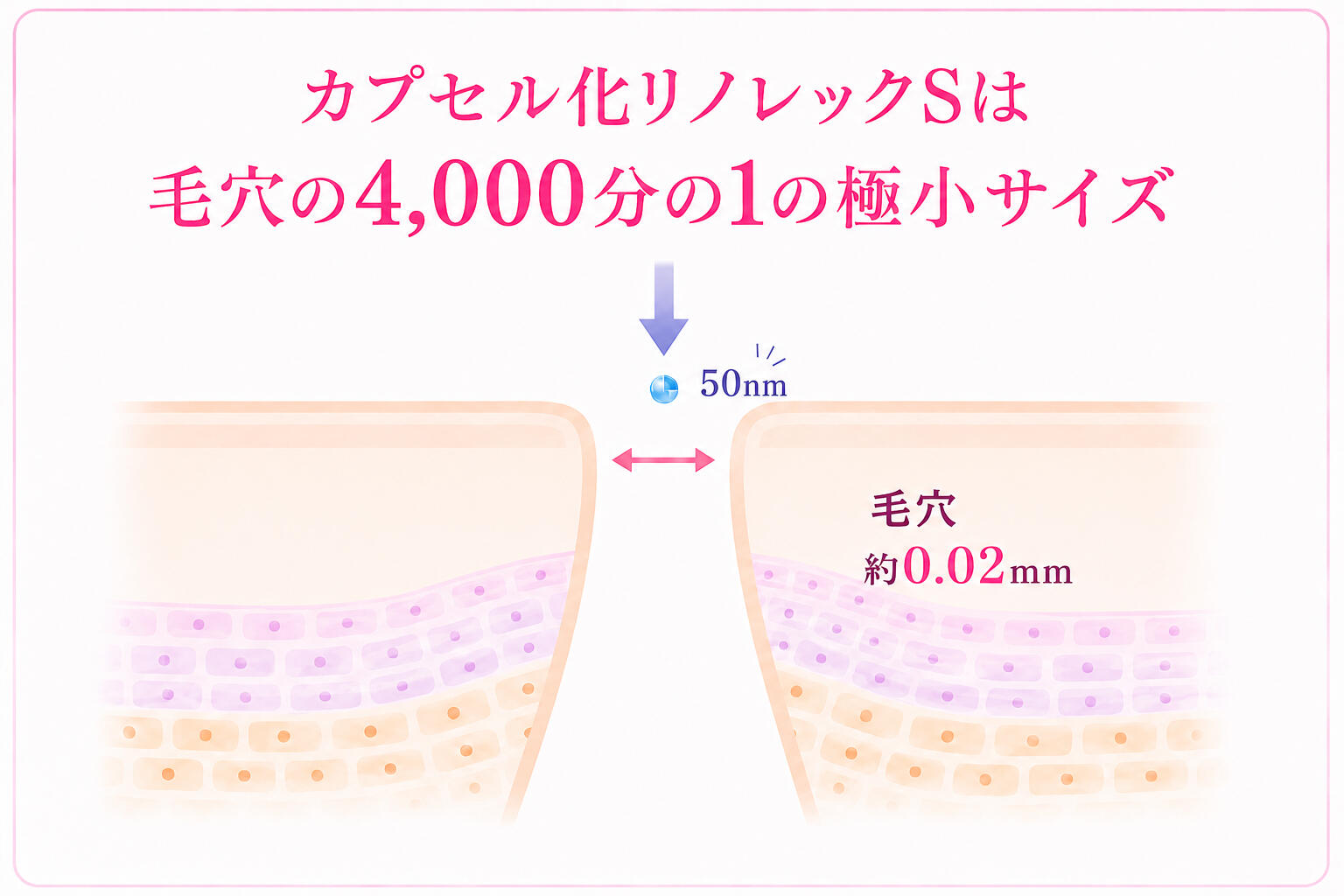 20260803_linoleic S 50nm.jpg