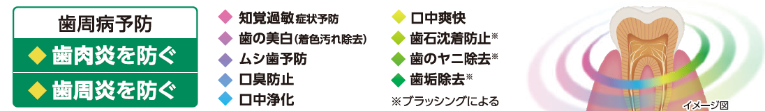 20260826_Sunstar_Feature.png