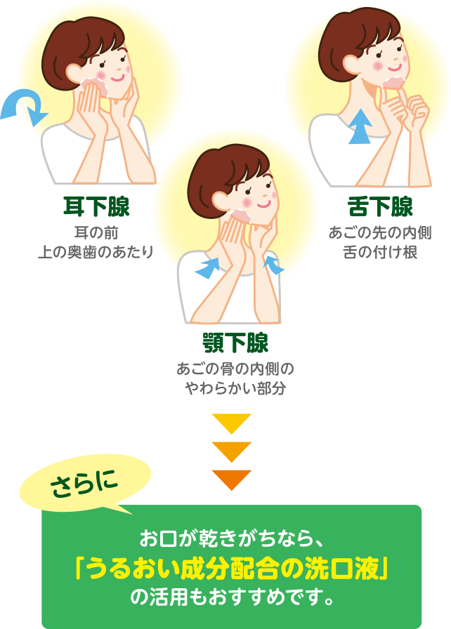 耳下腺 耳の前上の奥歯のあたり  舌下腺 あごの先の内側舌の付け根  顎下腺 あごの骨の内側のやわらかい部分  さらにお口が乾きがちなら、「うるおい成分配合の洗口液」の活用もおすすめです。