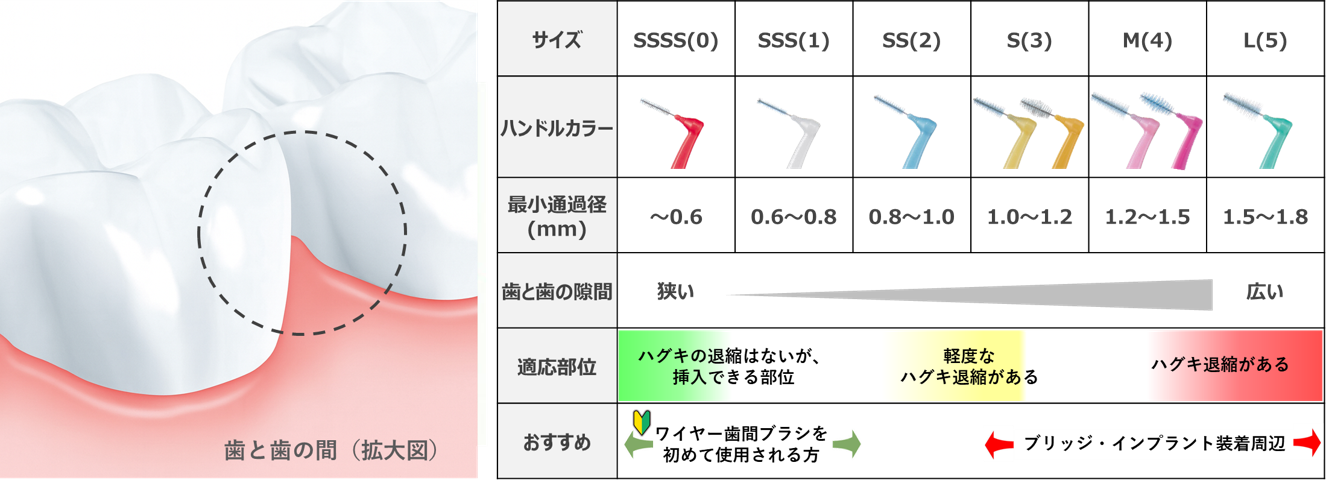 歯間ブラシL字サイズ一覧