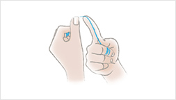上の前歯 左もしくは右手の親指ともう一方の手の人差し指で上向きにフロスを押さえます。